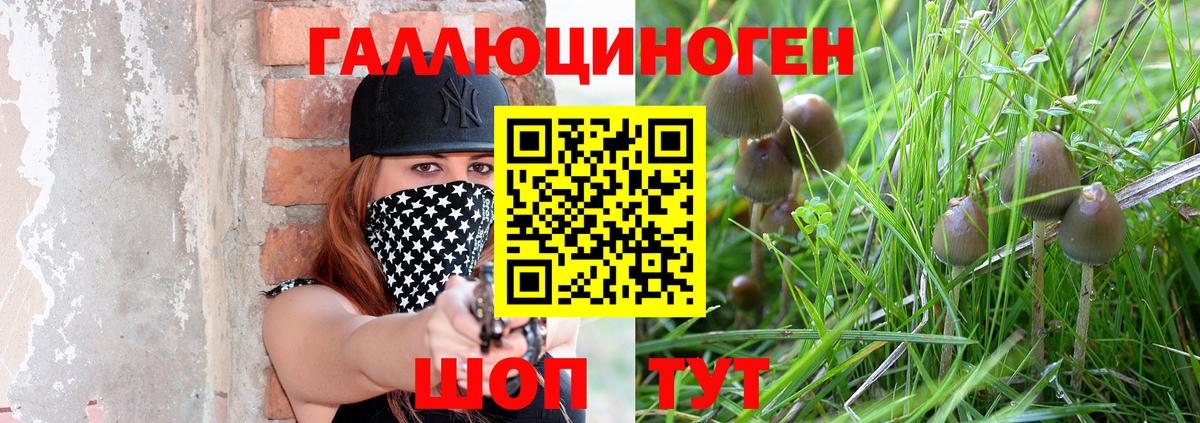 Кимовск  Галлюциногенные грибы GOLDEN TEACHER  Вход с VPN 