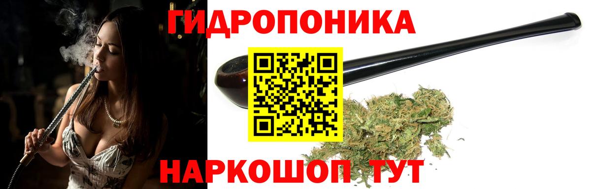 Каннабис семена  Бошки Шишки Amnesia  Кимовск  Шишки марихуана MAZAR  Вход с VPN  Конопля Bruce Banner 